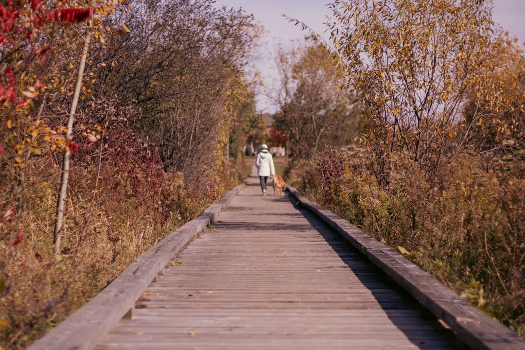 Caminar para el corazón