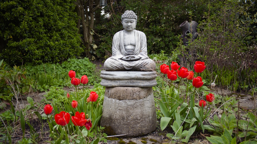 Programa Equilibrio Interior